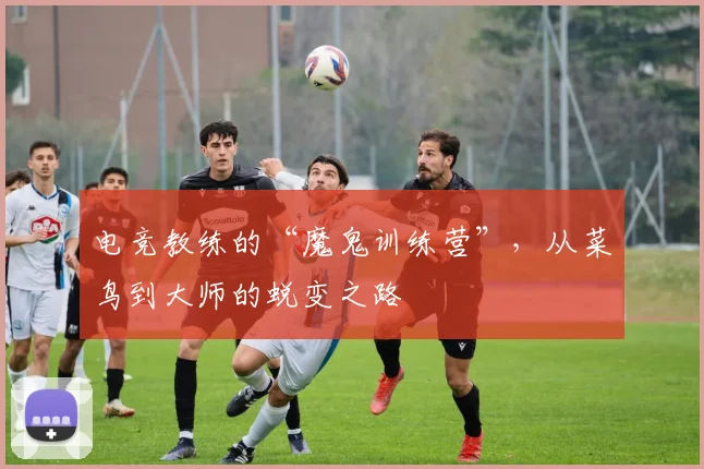 电竞教练的“魔鬼训练营”，从菜鸟到大师的蜕变之路